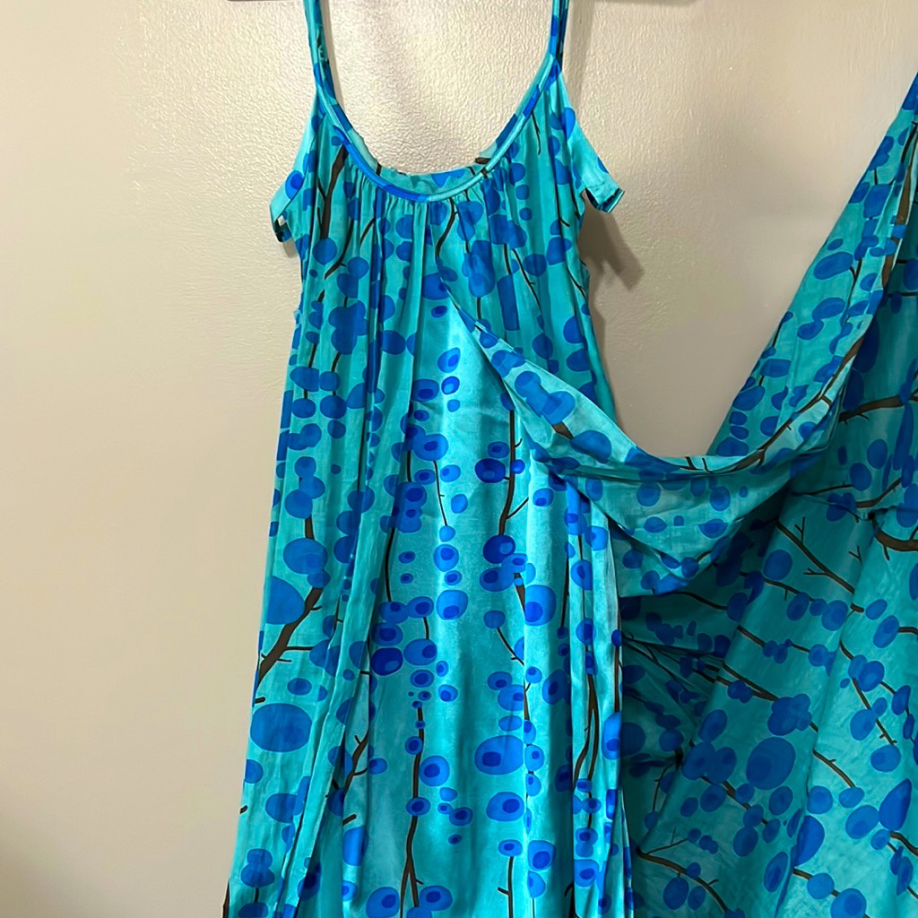 Twinkle By Wenlan Size 4 Long Maxi Blue Print Dress